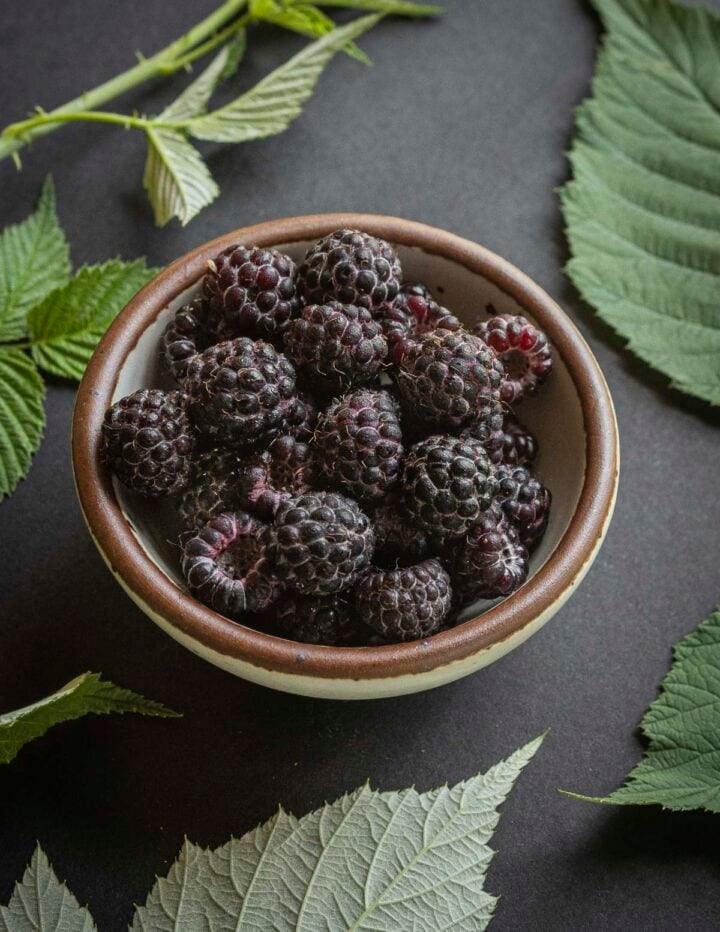 Black Raspberries (The Black Cap Berry) - Forager | Chef