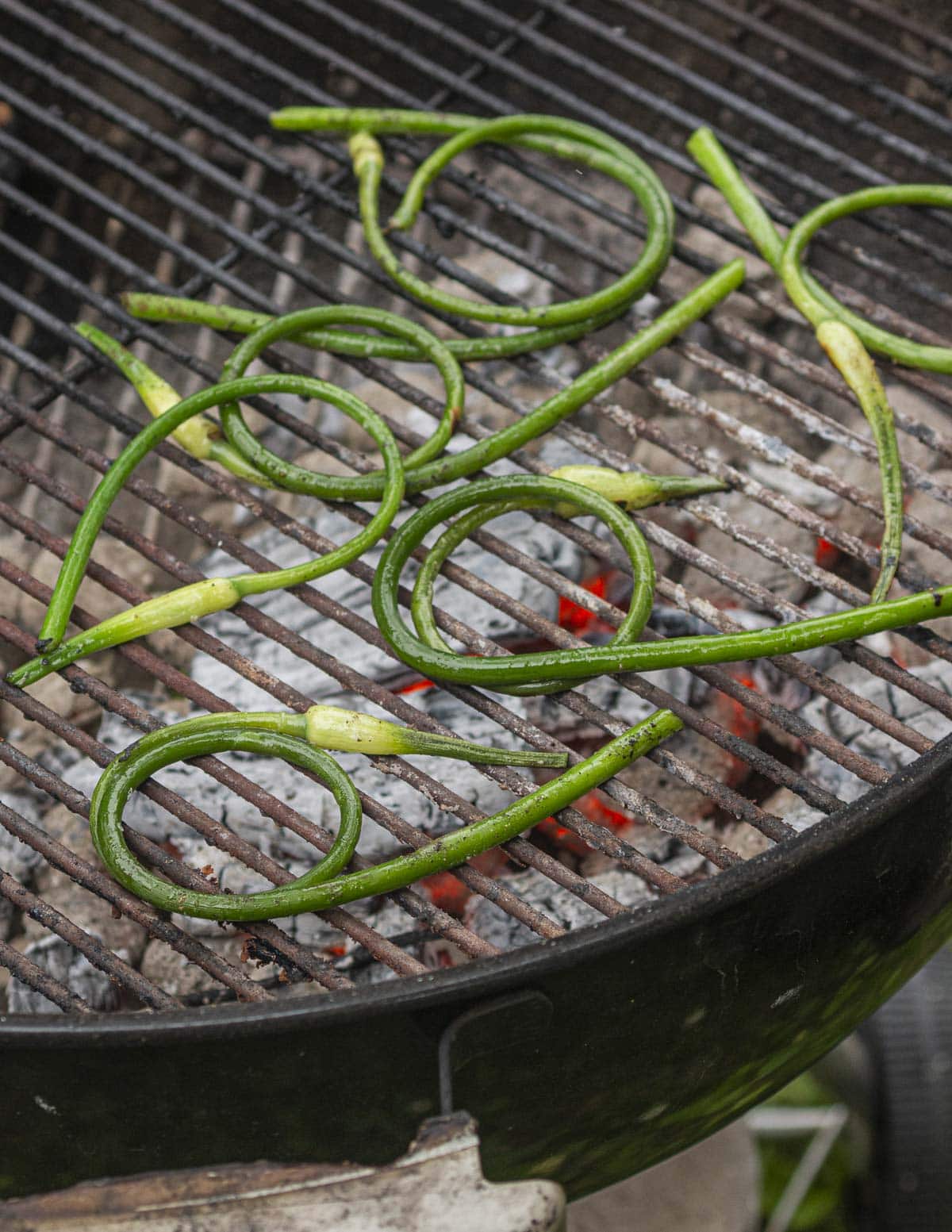 Garlic scapes being cooked on a grill.