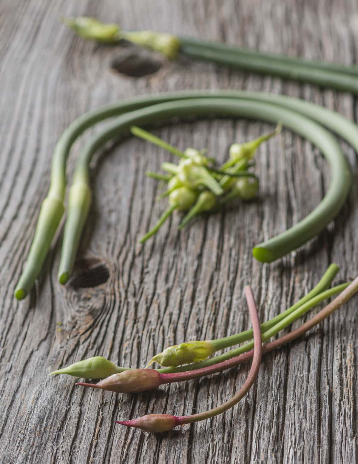A mix of different scapes from wild leeks, onions, wild onions, and garlic.
