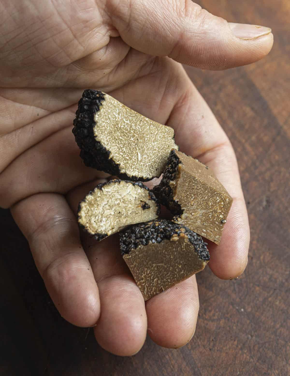 A hand holding cut fresh summer truffles and past-prime discolored summer truffles.