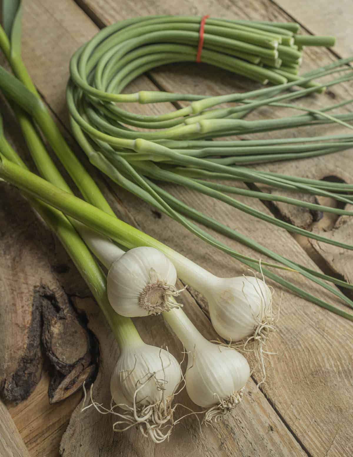 Garlic scapes next to green garlic on a cutting board.