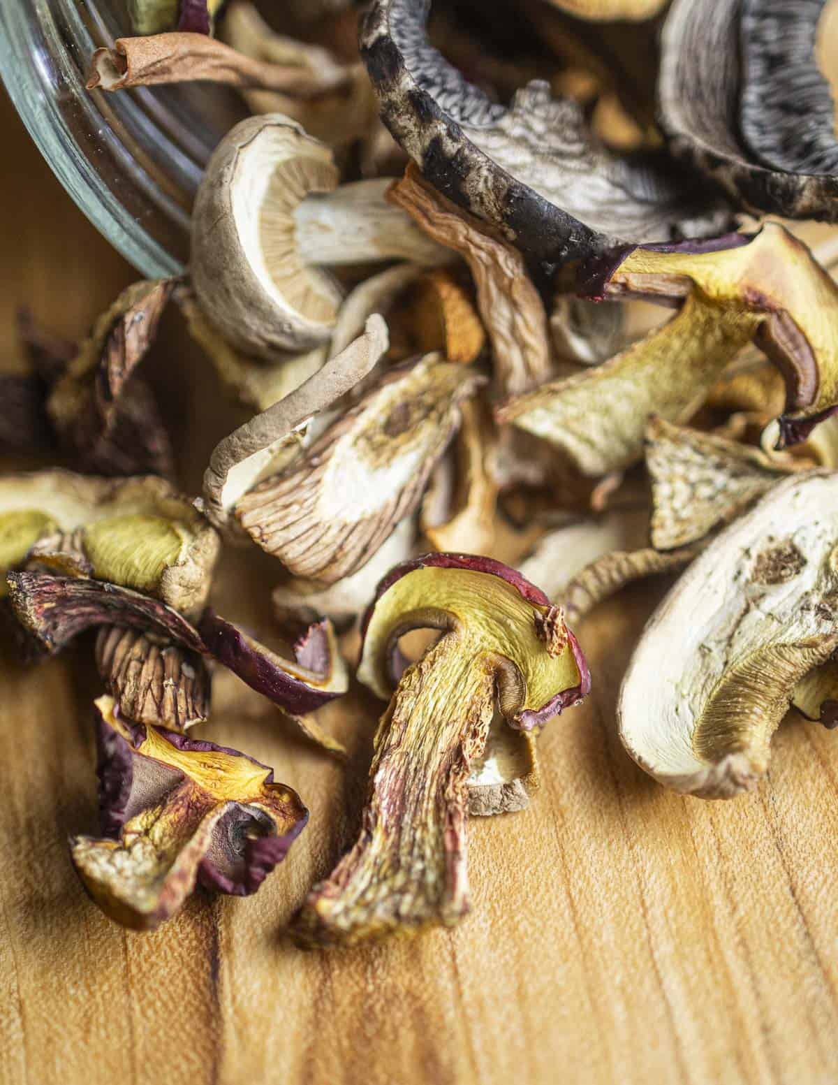 A jar of dried mushrooms including Frosts bolete, old man of the woods, and other boletes. 