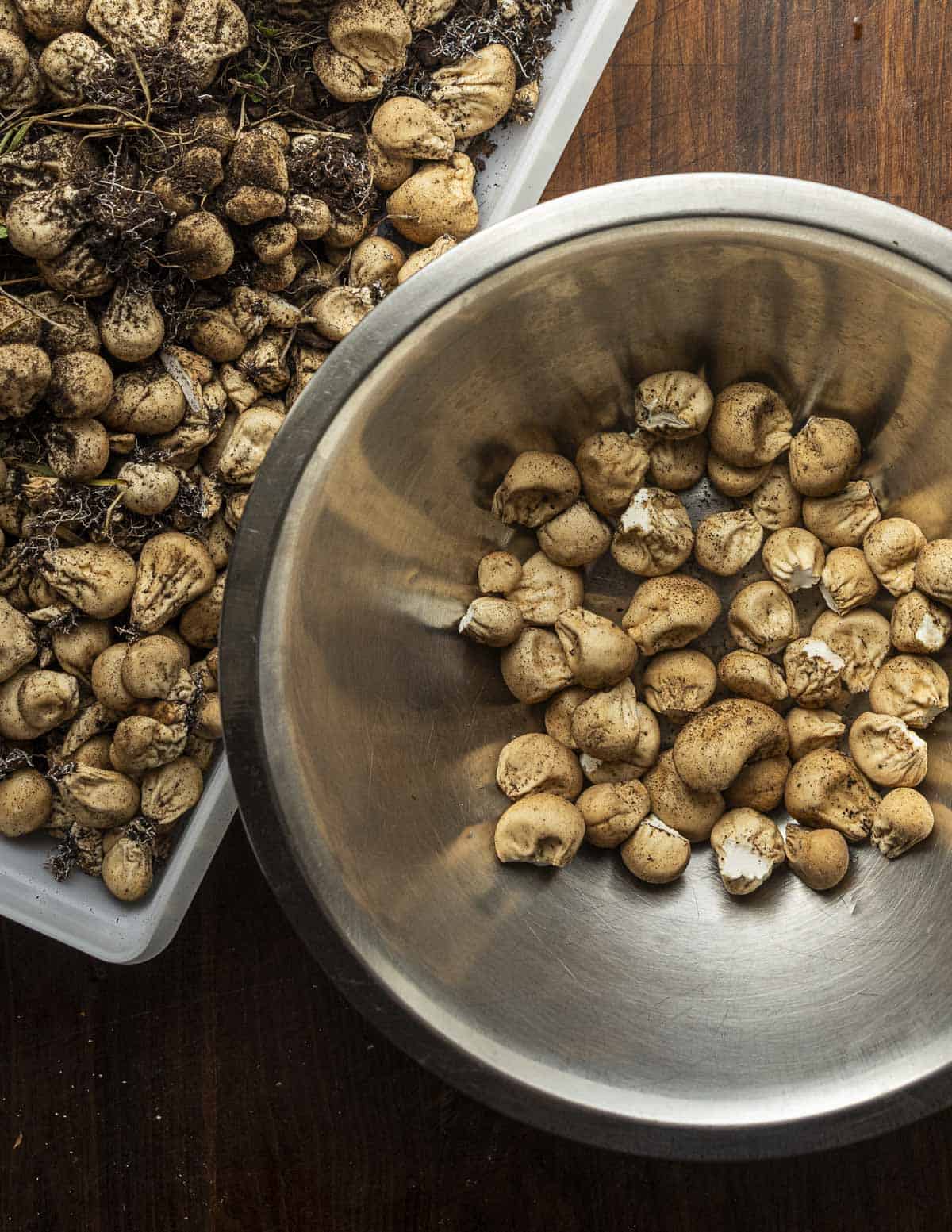 A box of dirty pear shaped puffball mushrooms next to a bowl of mushrooms that have had their stems trimmed. 