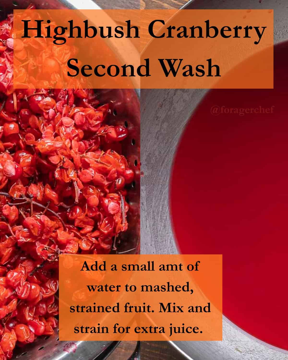 An infographic showing spent squeezed highbush cranberry fruit and the "second wash" that can be achieved by adding additional water to the spent fruit. 