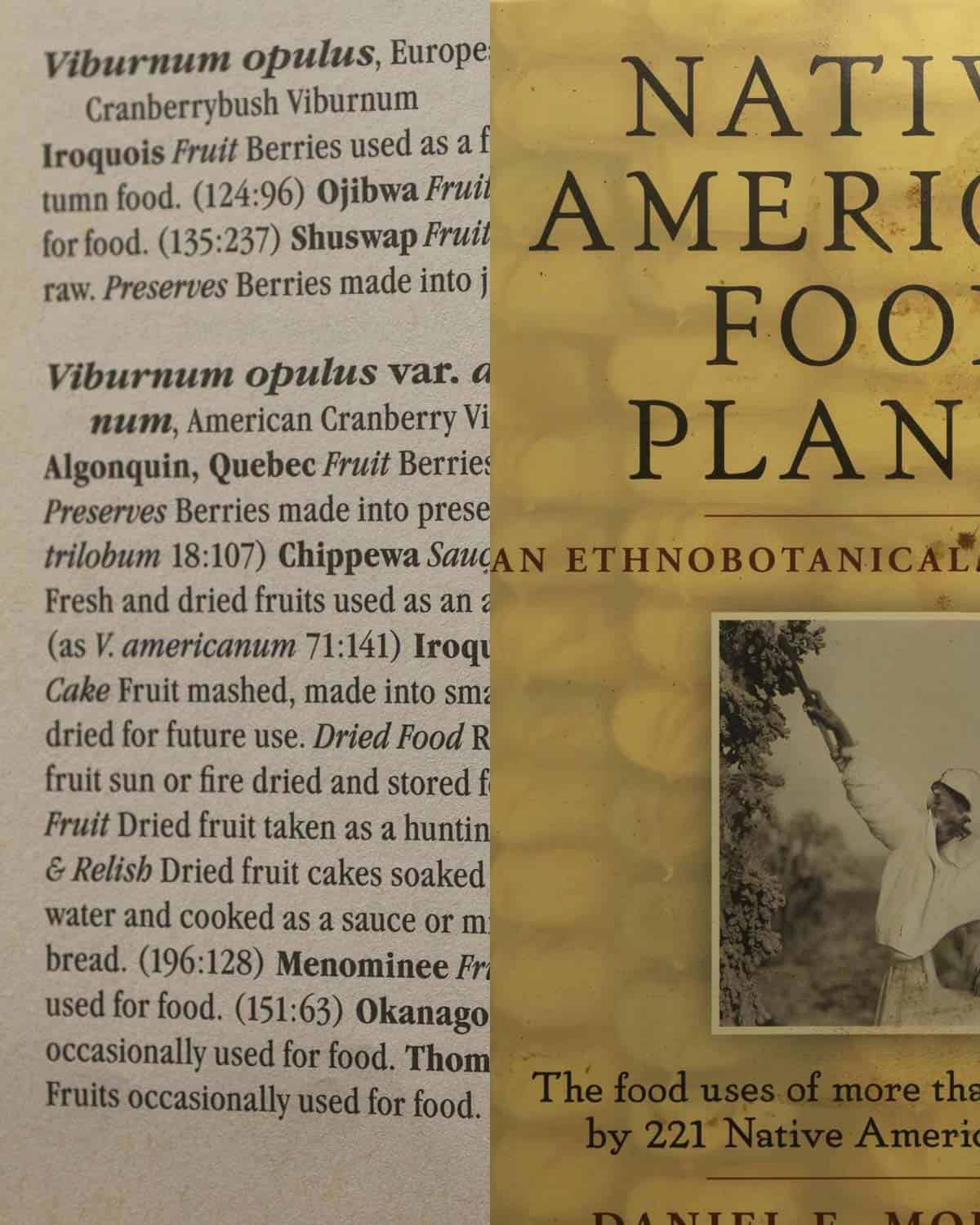 An infographic made from Daniel E. Moermon's book Native American Food Plants showing uses of Viburnum cranberry bush by Indigenous peoples. 