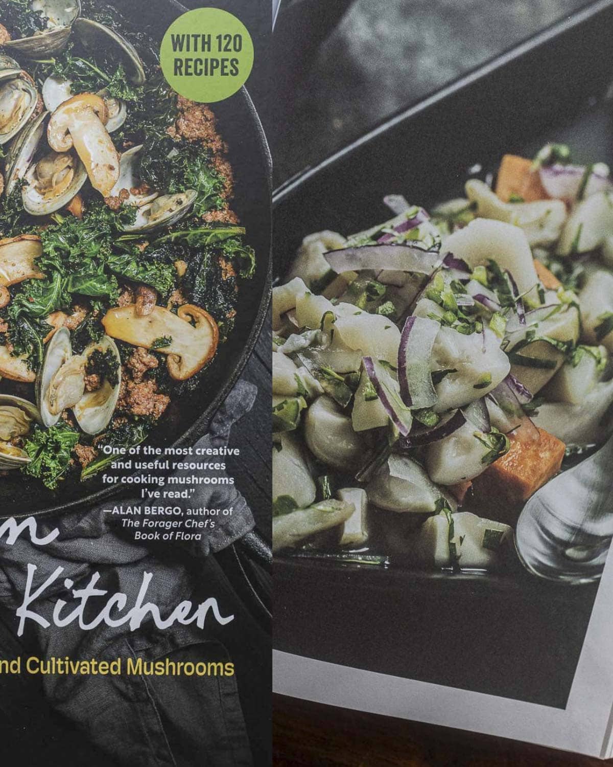 A compound image of the cover of the book The Mushroom Hunters kitchen next to an image of the mushroom ceviche recipe from the book. 