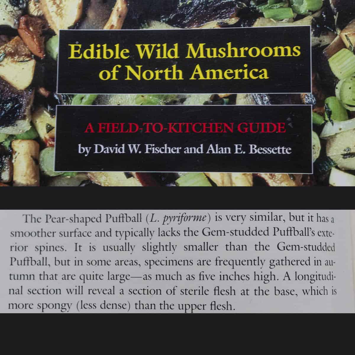 An entry from the Bessettes wild mushroom field guide showing that pear shaped puffballs can grow very large in the fall. 