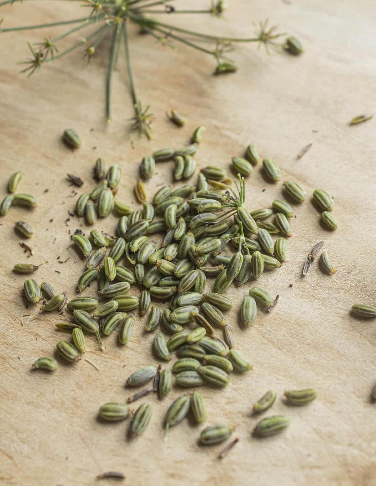 A close up image of unripe green bronze fennel seeds on a cutting board. 