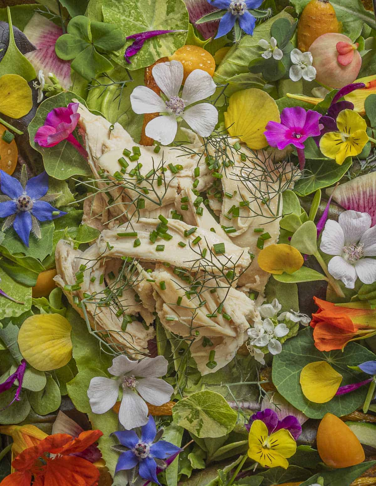 Chicken salad with many different edible flowers, greens, herbs, bronze fennel fronds, and goddess dressing. 