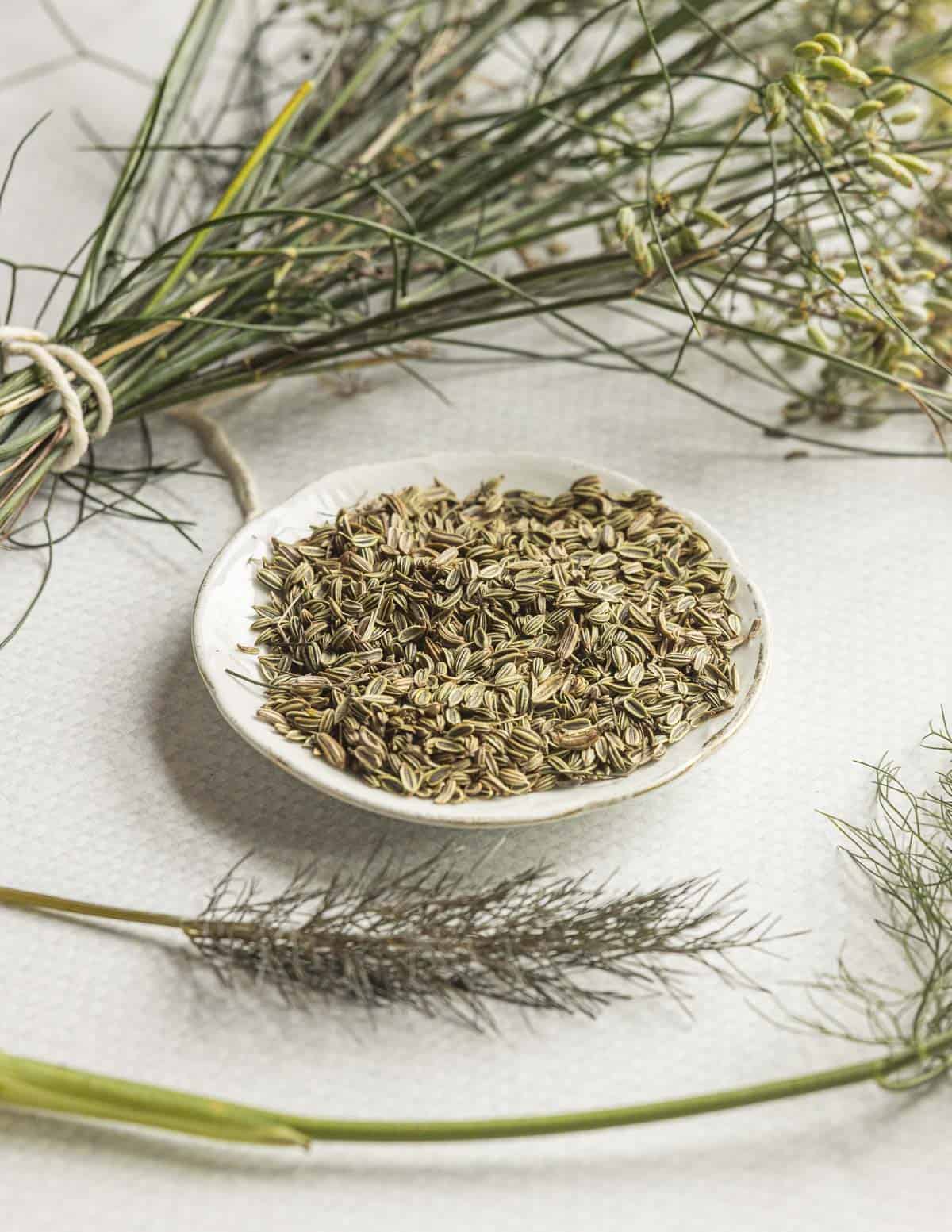 Bronze fennel seeds on a small round China plate with a tied bundle of freshly cut fennel fronds in the background.