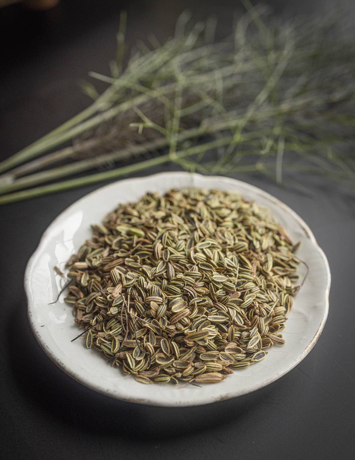 A small round plate of bronze fennel seeds with a small bronze fennel plant in the background. 