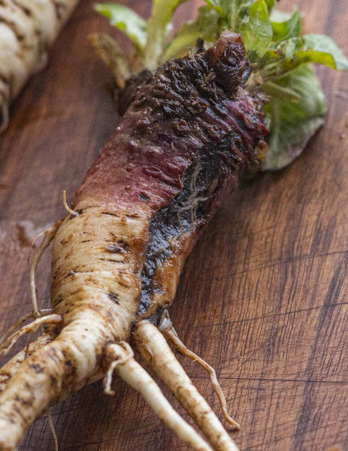 Evening primrose root cleaned showing deep fissure with dirt in it on a cutting board. 