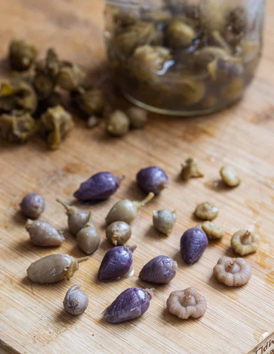 Unripe, fermented hollyhock seeds and flowers with a jar of fermenting seeds in brine in the background.
