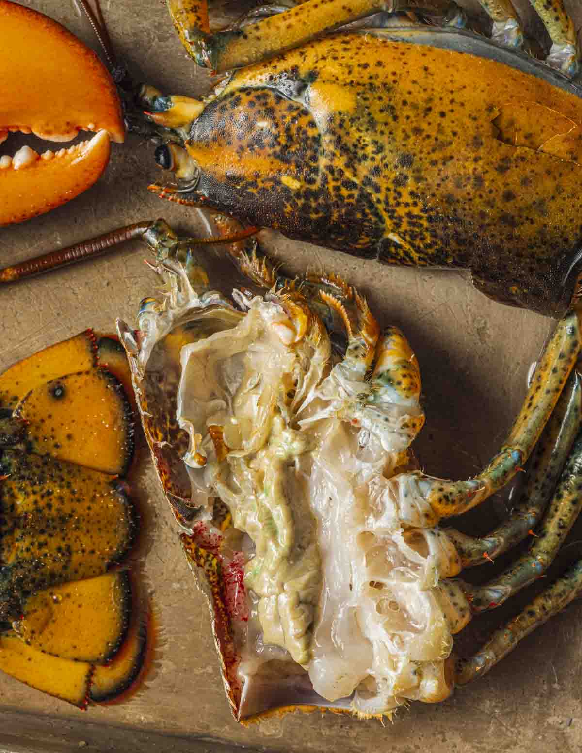 A close-up image of raw lobster, heads cut in half lobster tails and lobster claws on a baking sheet.
