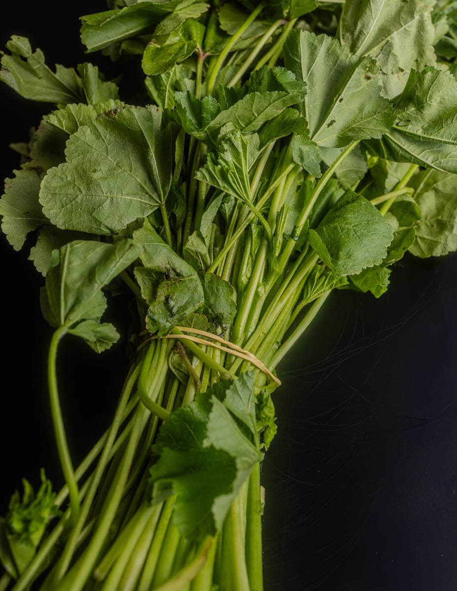 A bundle of mallow greens for sale sold at a Middle Eastern Grocer.