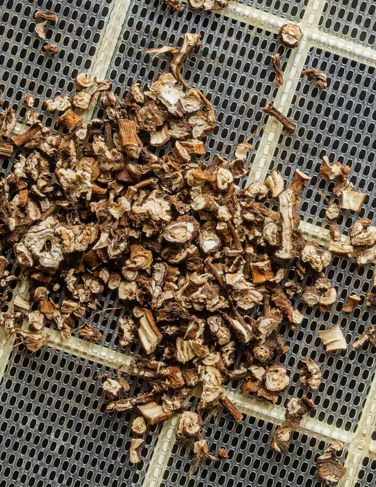 Finely cut dandelion roots drying on a dehydrator rack.