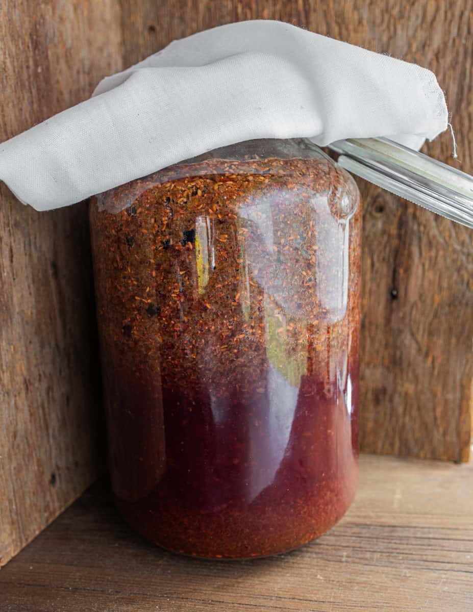 A jar of homemade elderberry vinegar fermenting, showing the fruit scrap rising to the top of the jar.