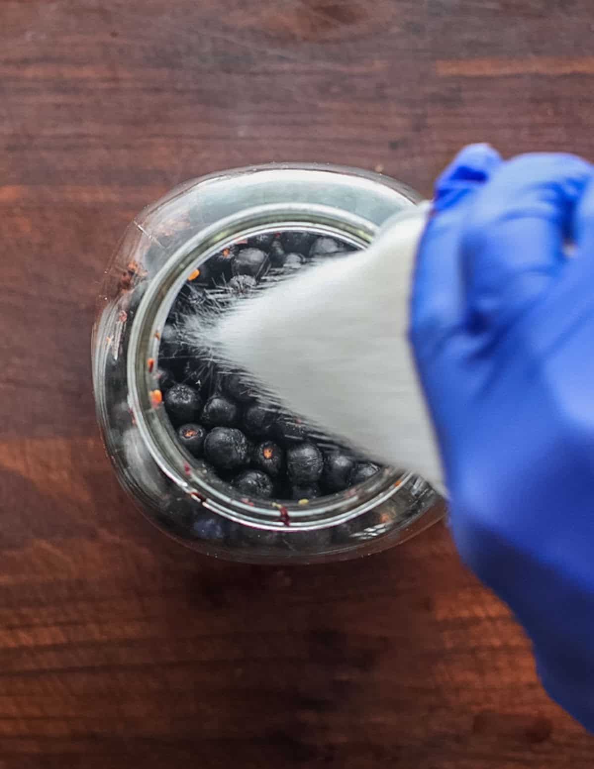Adding sugar to a jar of elderberry scrap and aronia berries to make vinegar.