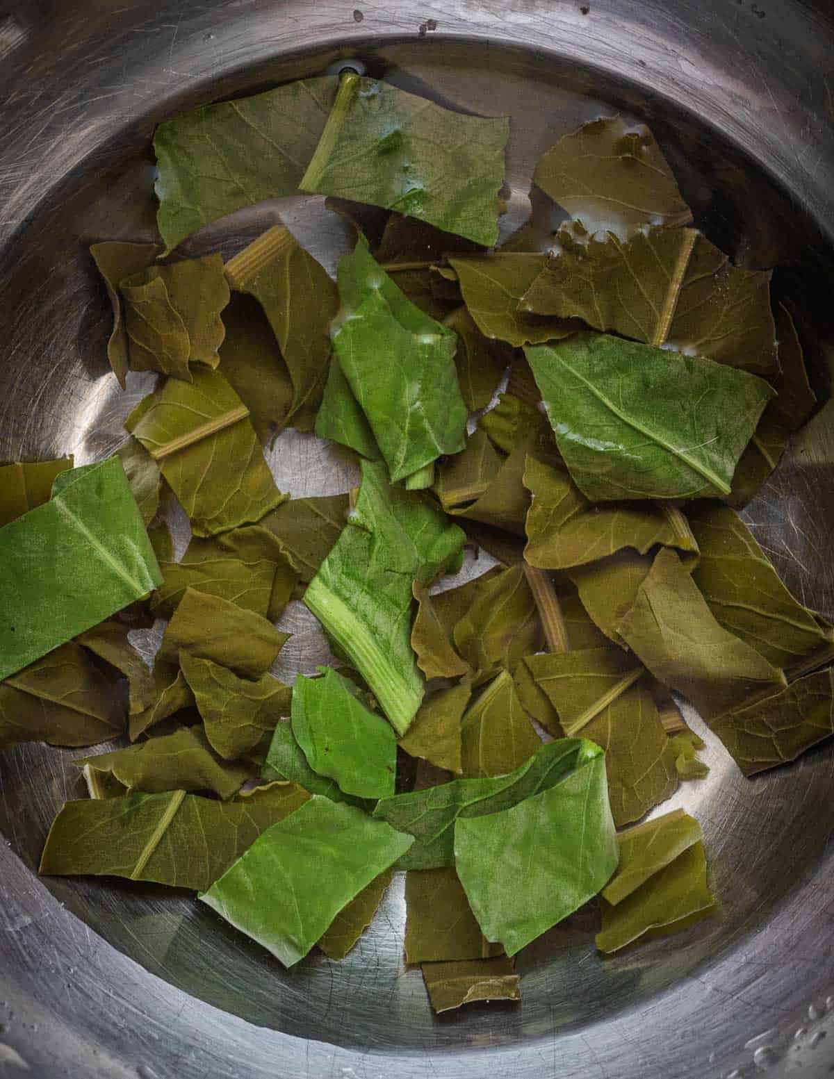 Cooked patience dock and curly dock leaves in a bowl showing differences in color between the leaves.