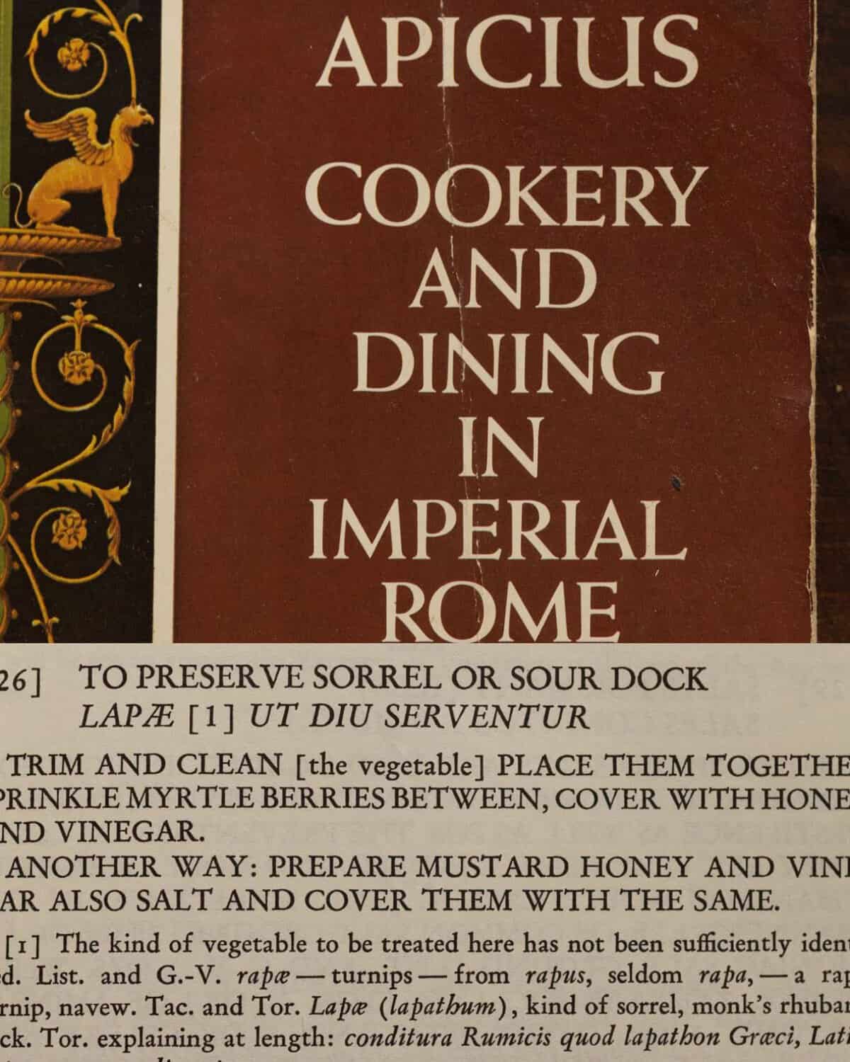 A passage from Apicius de re coquinaria describing the use of dock known as lapathum and how to preserve it.