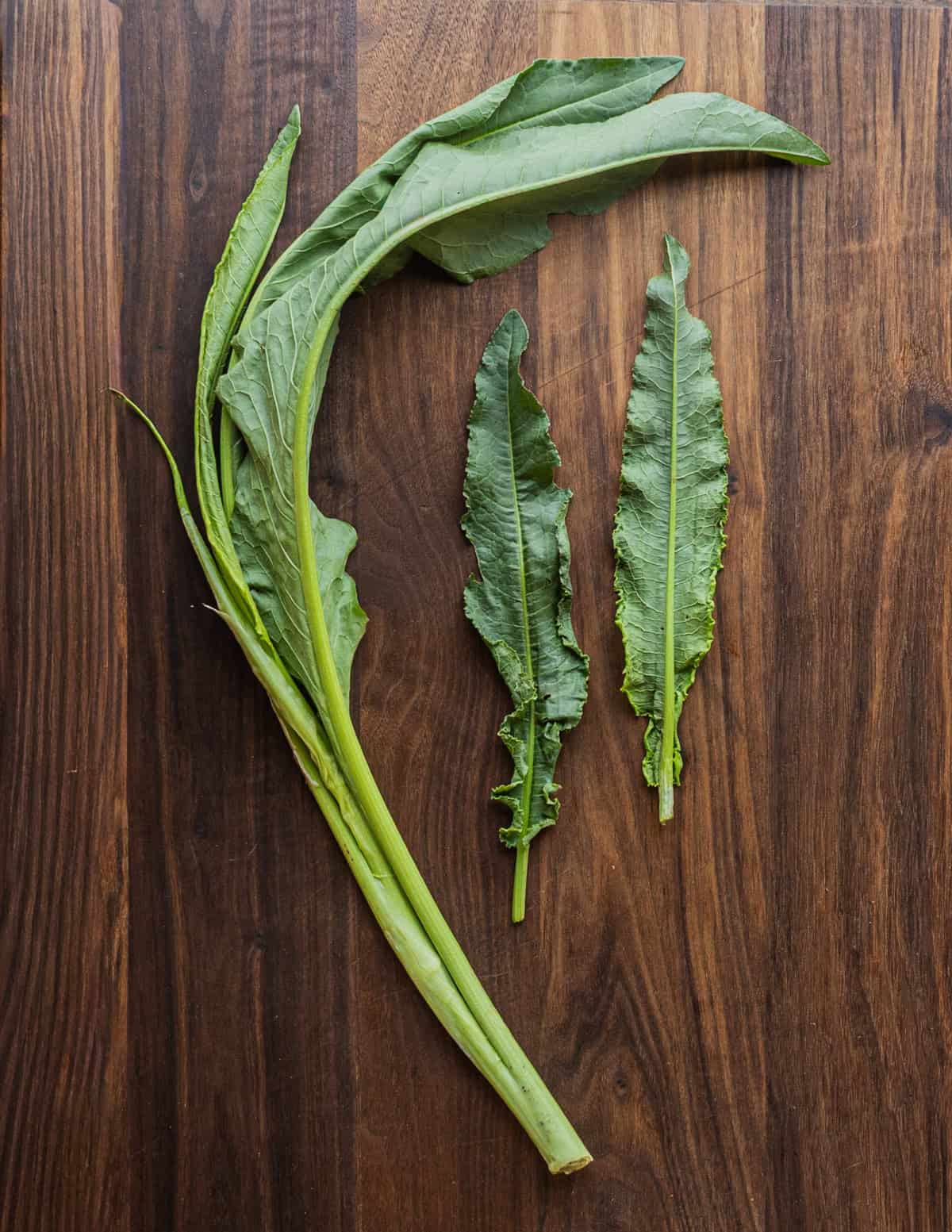 Curly dock leaves on a wood cutting board.
