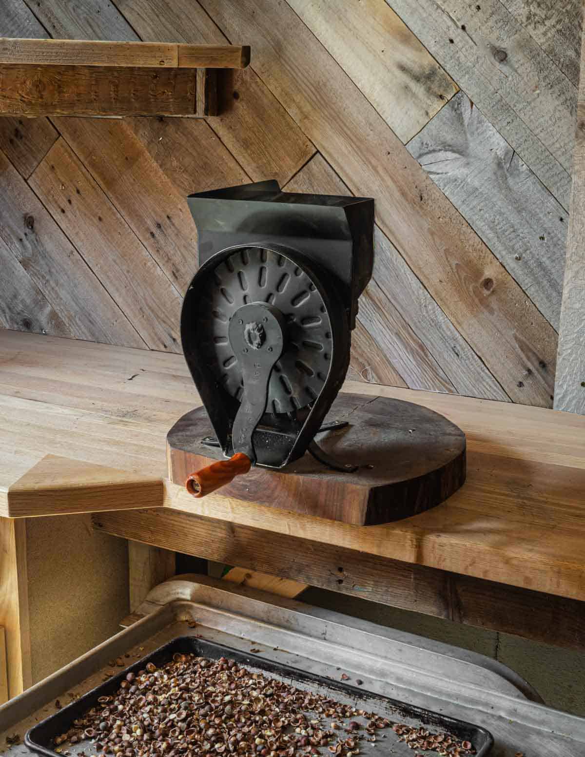 A large Dave Built hazelnut cracker mounted on a piece of black walnut wood with a tray of shelled hazelnuts underneath.