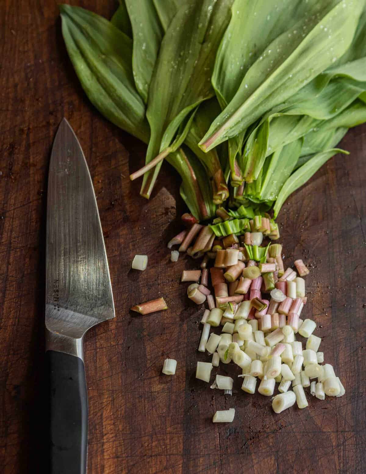 Cutting up Spring wild ramps or wild leeks.