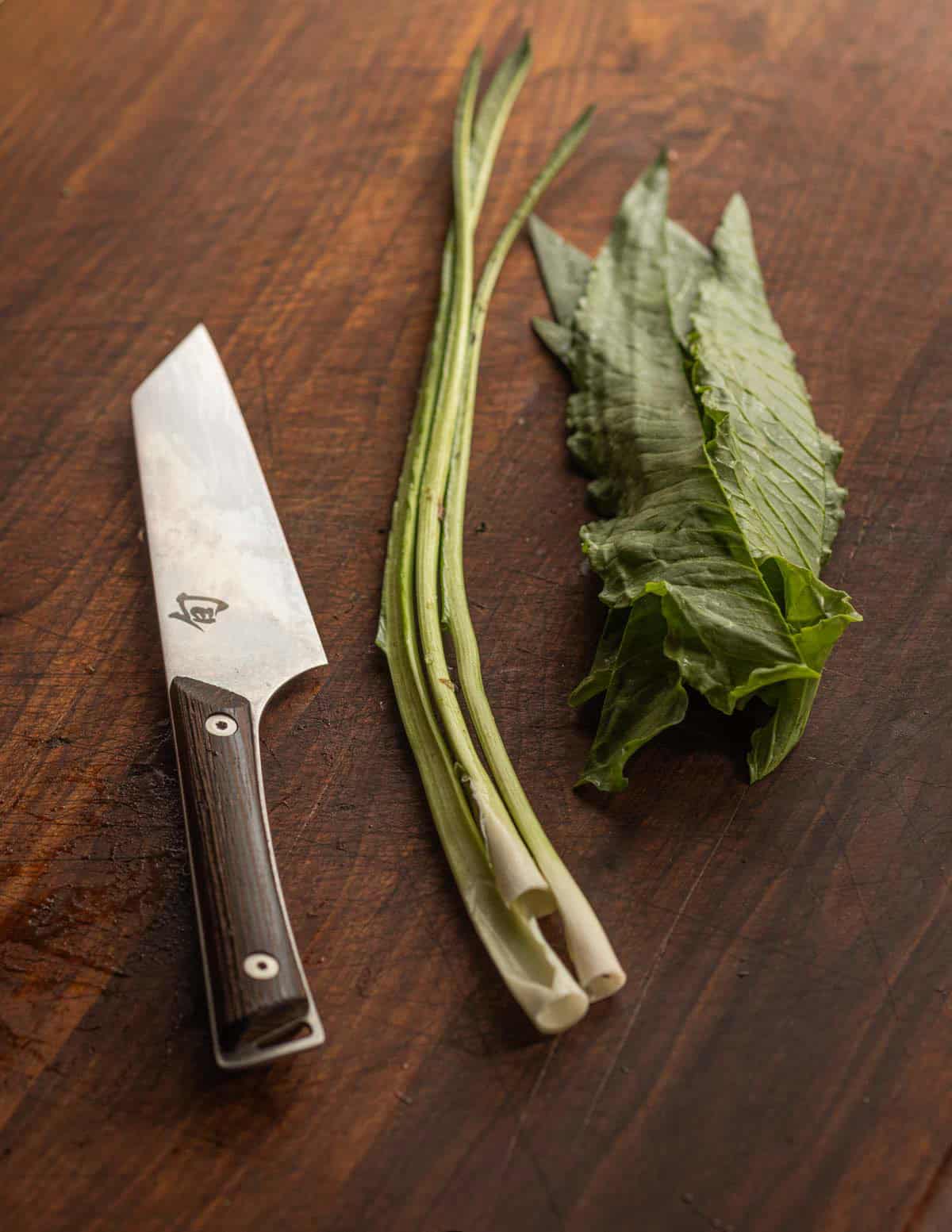 Removing the stem from dock leaves.