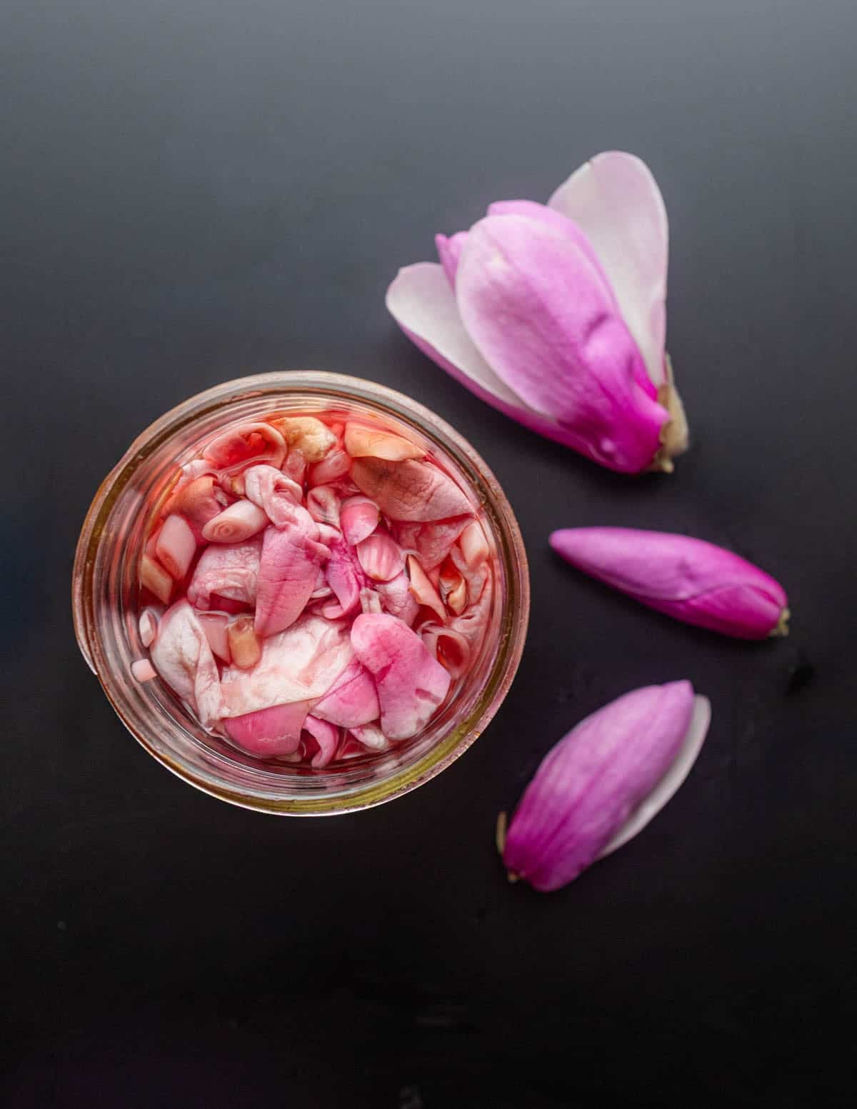A top down image of pickled magnolia flower petals surrounded by fresh magnolia flowers. 