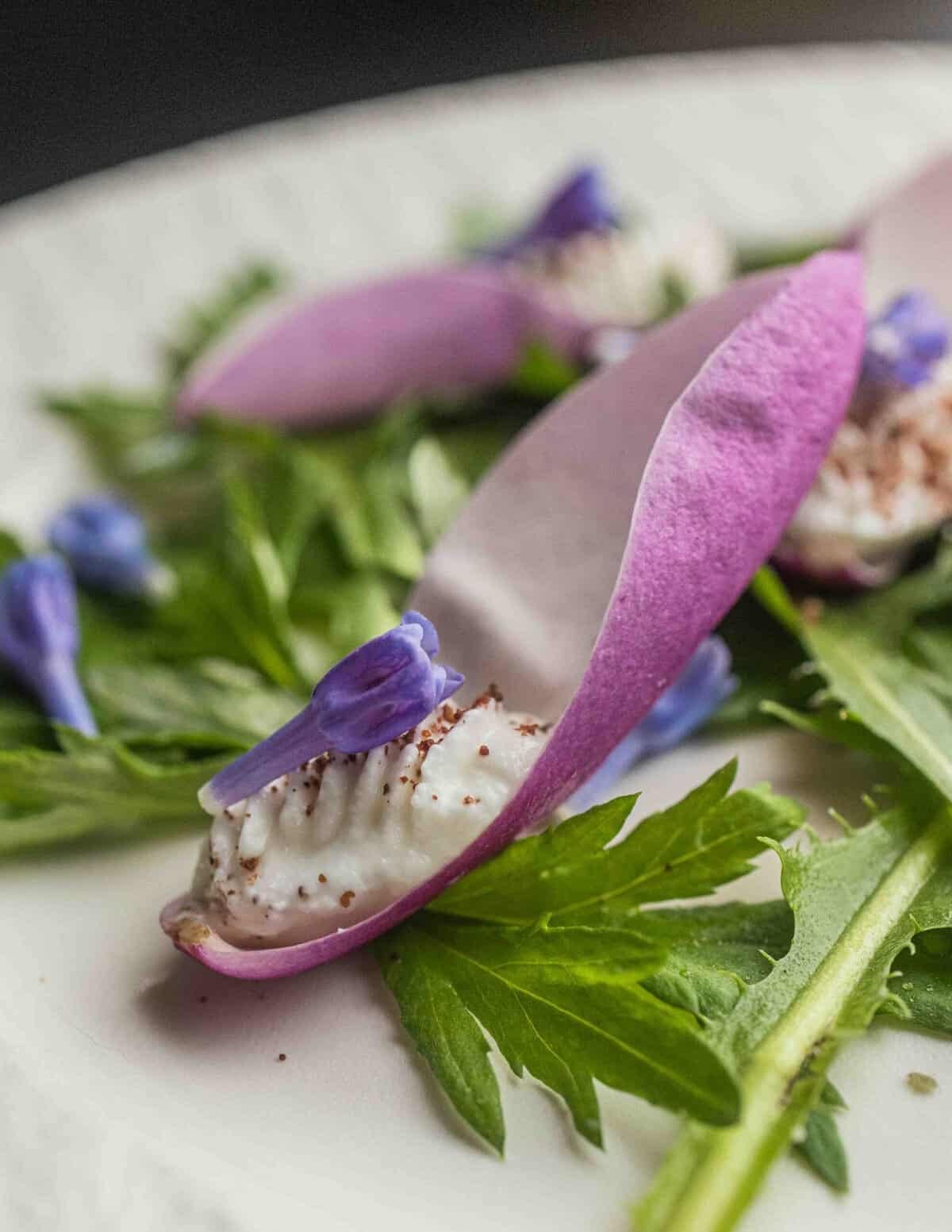 A close up image of magnolia petals filled with goat cheese on a bed of foraged greens garnished with wildflowers and sumac. 