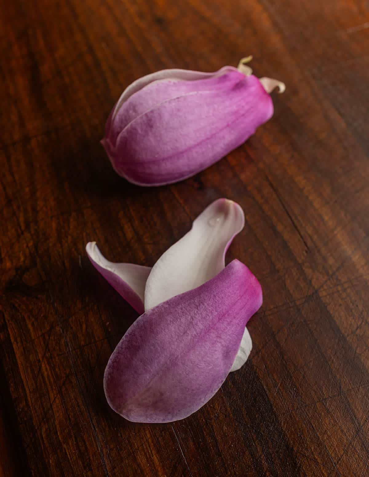 Removing the petals or tepals from an edible ornamental magnolia flower.
