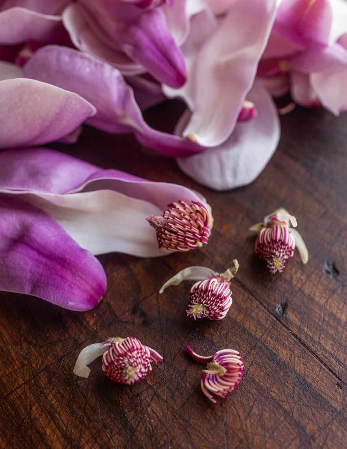 Removing the stamen from edible magnolia flowers. 