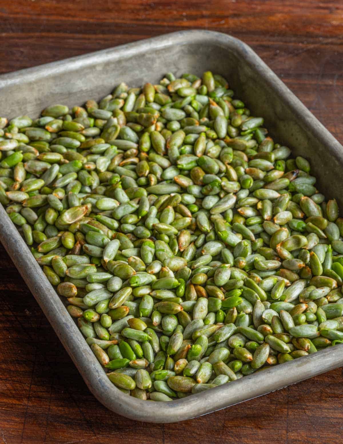 A baking sheet filled with edible, unripe green silver maple seeds ready to cook.