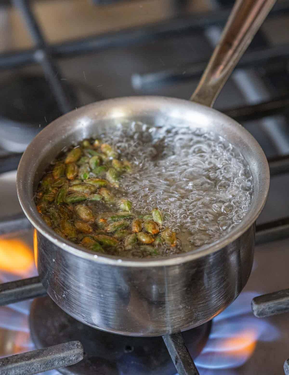 Boiling edible silver maple seeds in a pot of boiling water.
