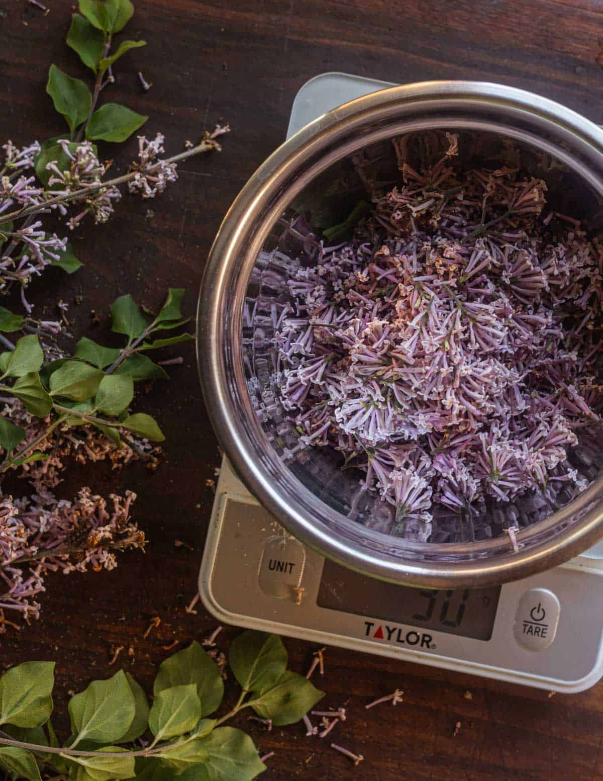Picking lilac flowers from the branch and weighing them on a scale.