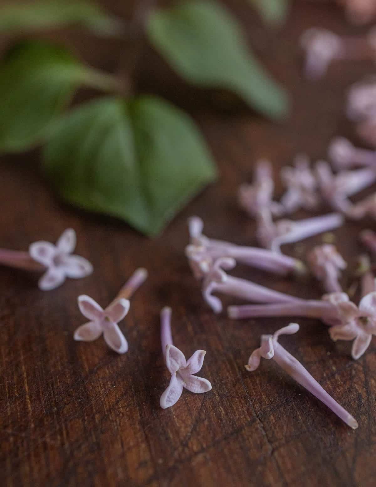 A close up image of fresh lilac flowers on a cutting board next to lilac leaves.