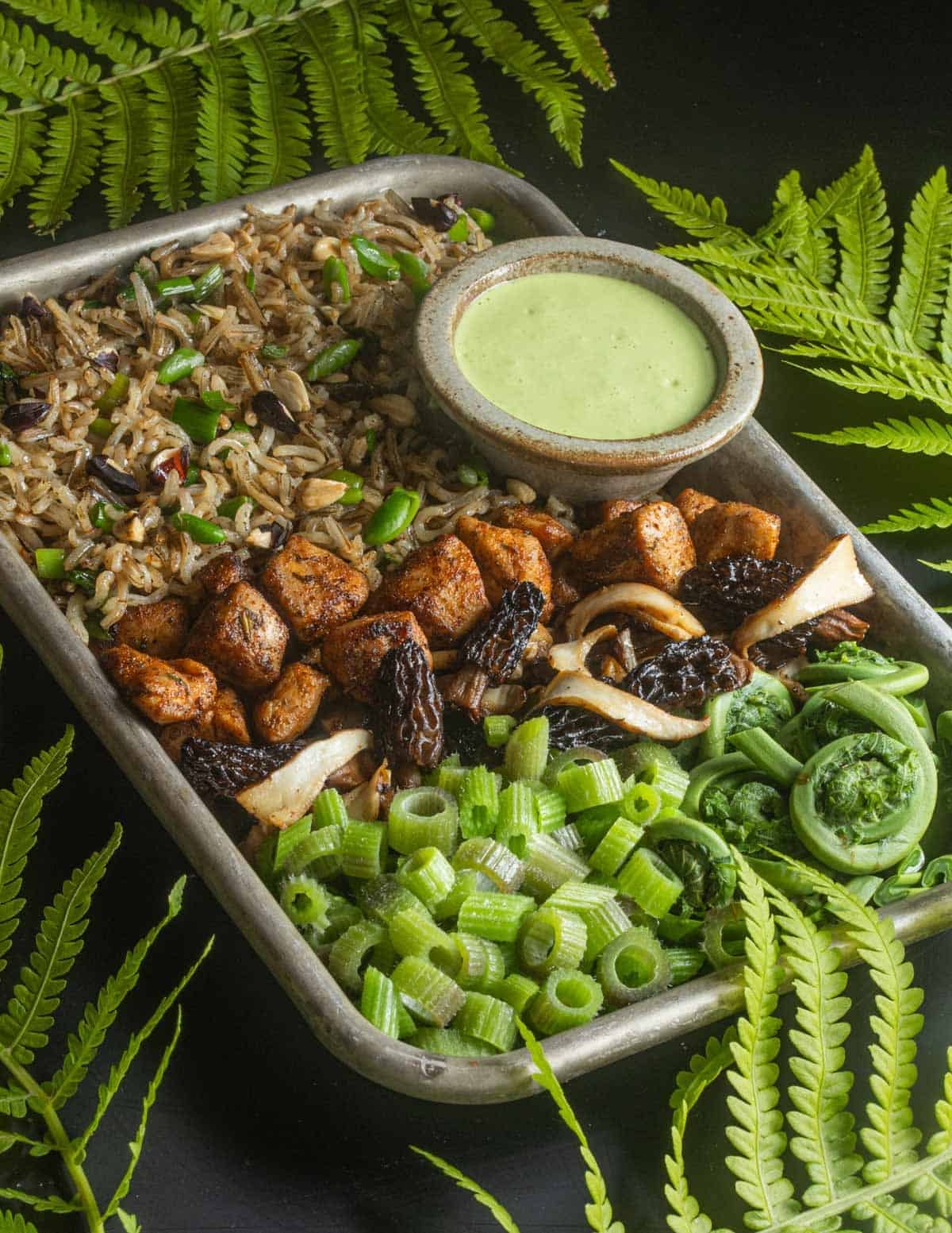 A tray with maple seed and beechnut wild rice, wild turkey, morels, pheasant back mushrooms, fiddleheads, cow parsnip stems and ramp sauce.