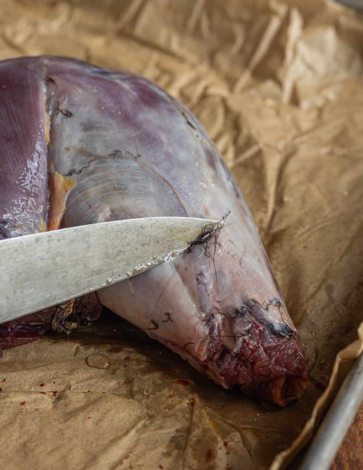 Removing feathers from a raw leg of wild turkey.