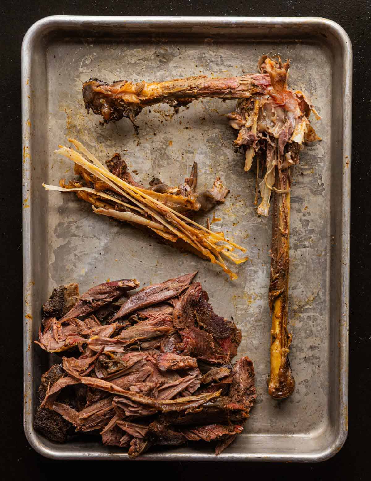 A small tray with a cleaned leg of cooked wild turkey showing bones, pin bones, and finished, picked meat.