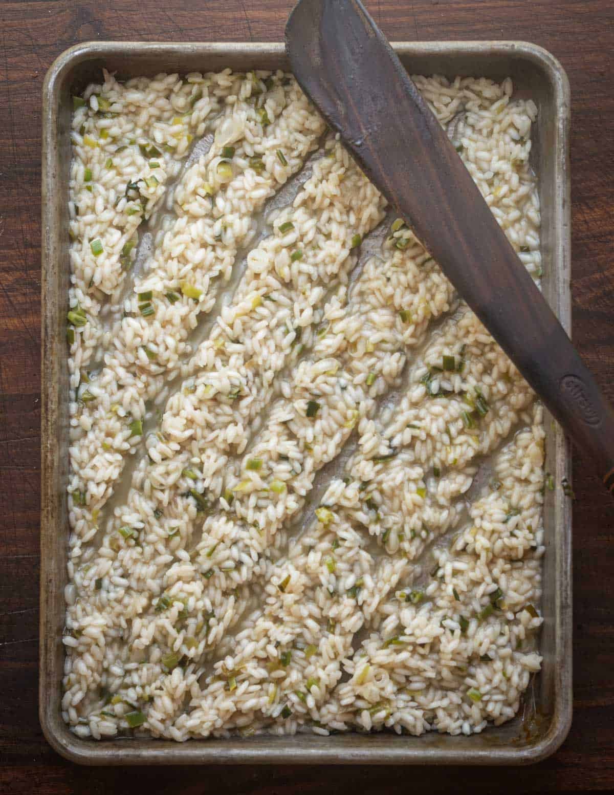 A tray of risotto that's been scored with a wooden spatula to create air channels which help the rice cool faster.