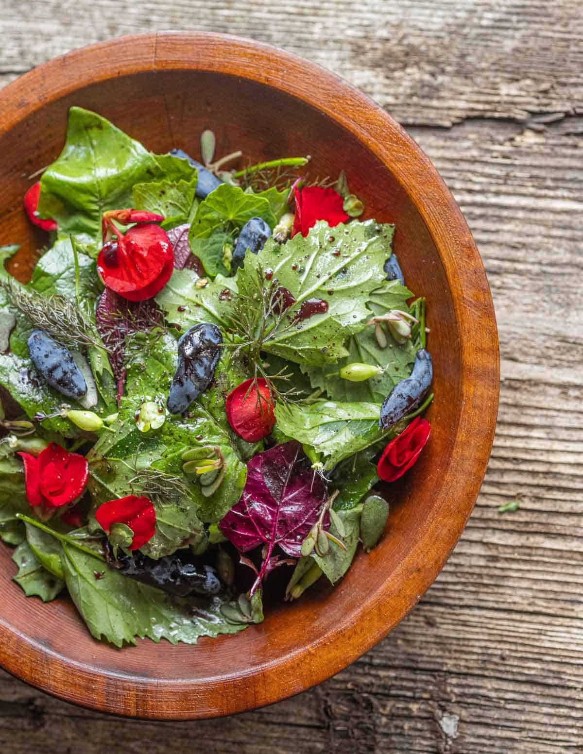 A salad of lambsquarters, orache, honeyberries, bronze fennel, purslane and begonia flowers with birch syrup vinaigrette.