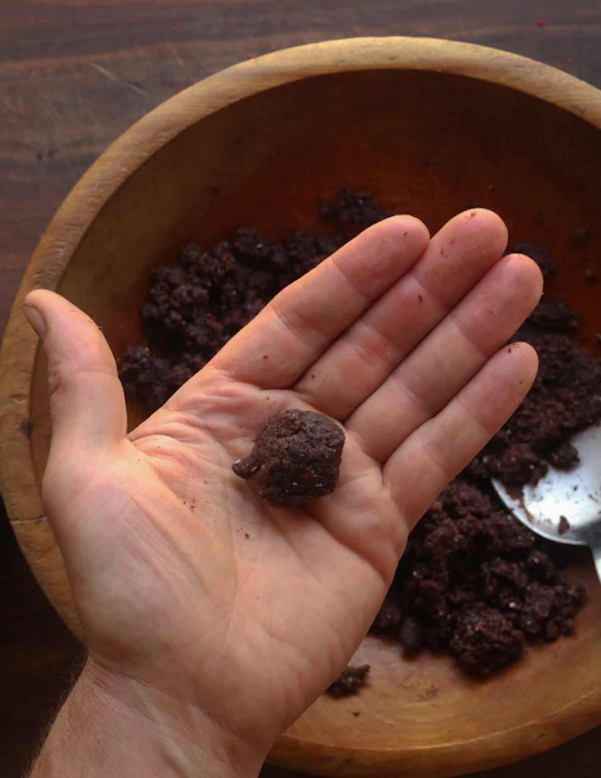 A hand showing a finished ball of pemmican after being mixed.