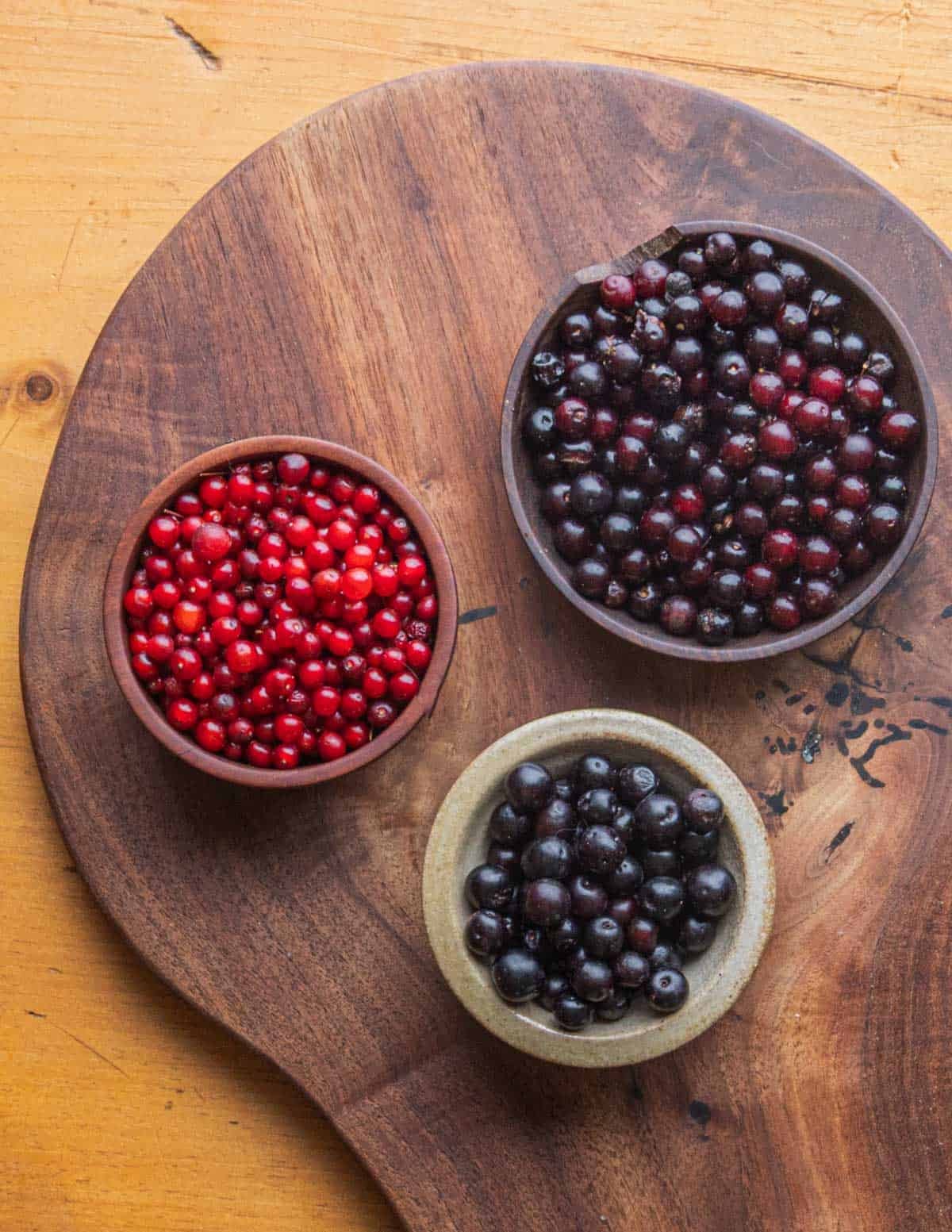 Three types of wild cherries in bowls showing differences ion color: pin cherries, sand cherries and chokecherries.