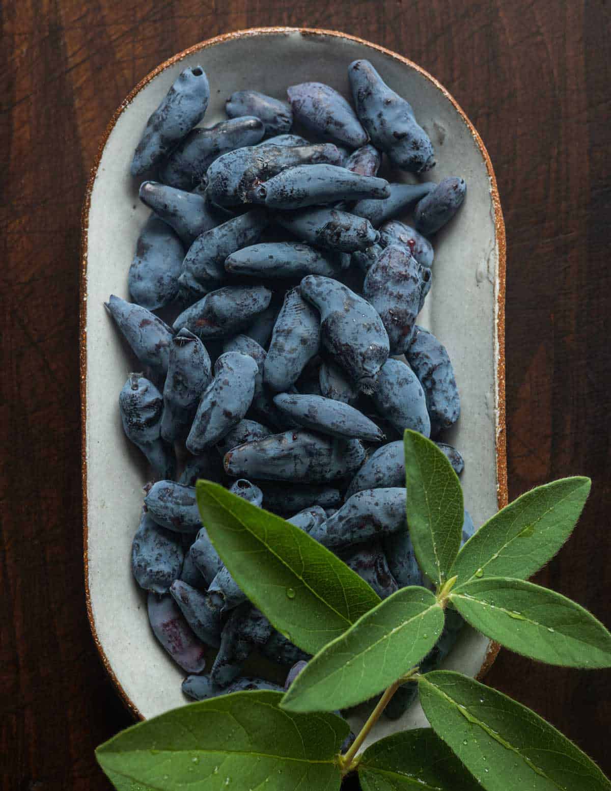 A long ceramic plate filled with honeyberries or haskap berries with green leaves of the plant shown around the plate.