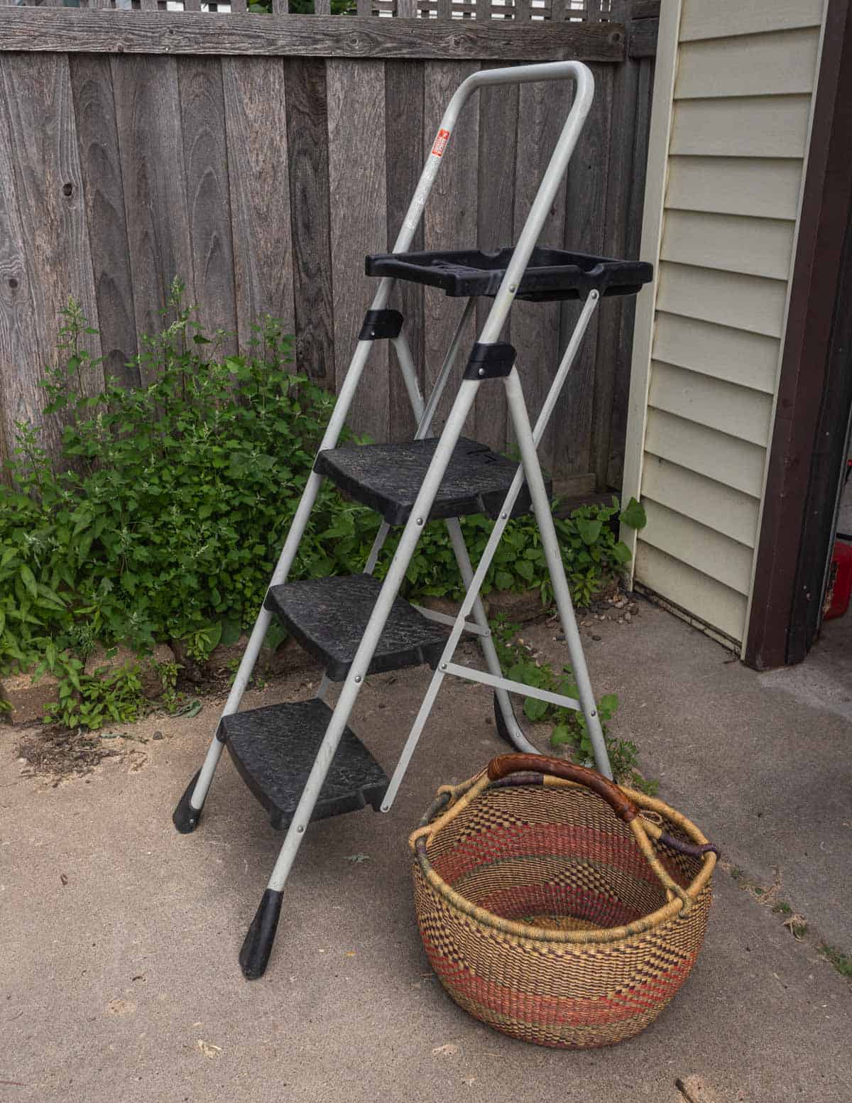 A step ladder used for berry harvesting next to a basket with a garage in the background.