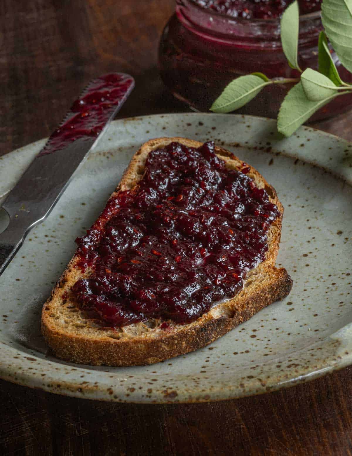 A piece of buttered toast spread with juneberry jam next to a jar of preserves.