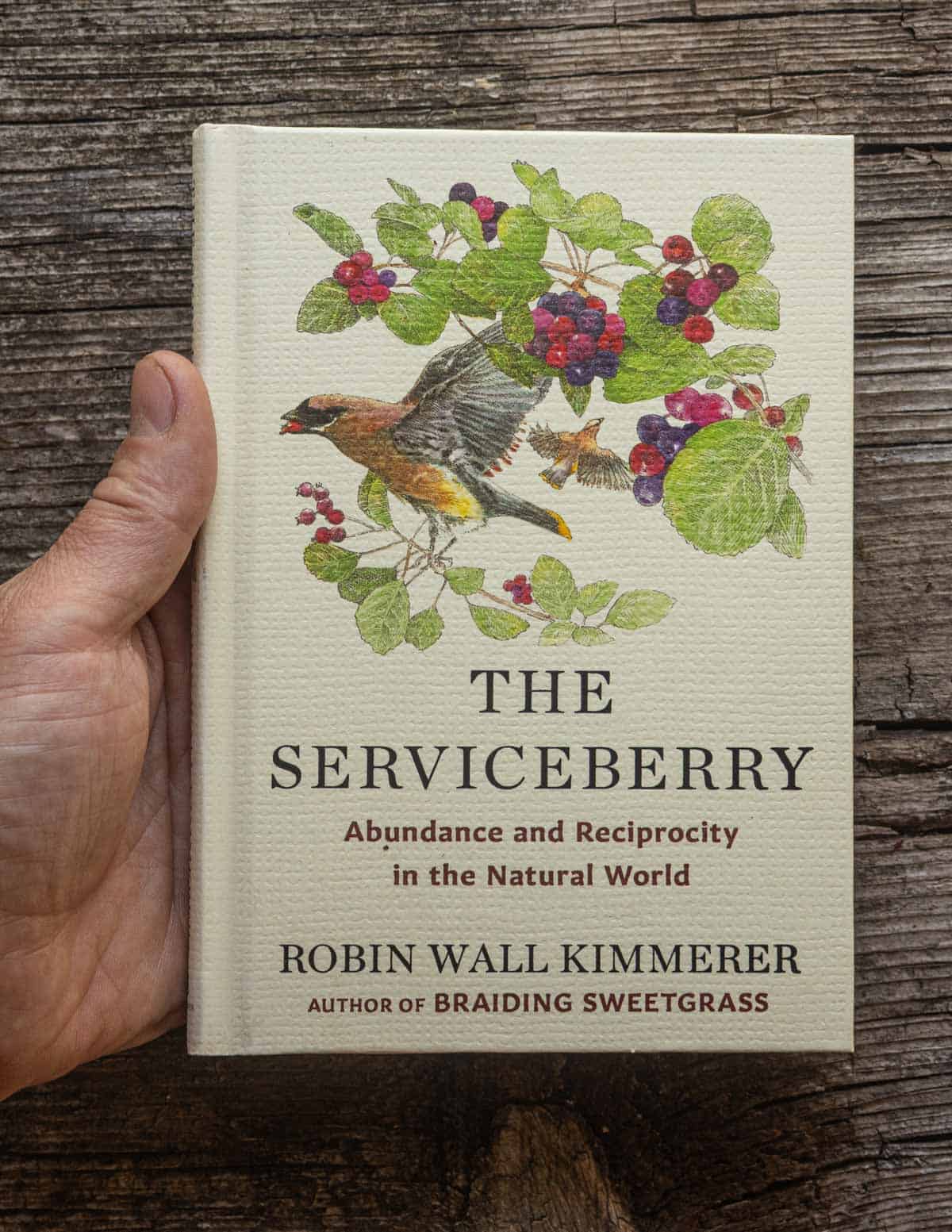 A hand holding a copy of the book serviceberry by Robin Wall Kimmerer.