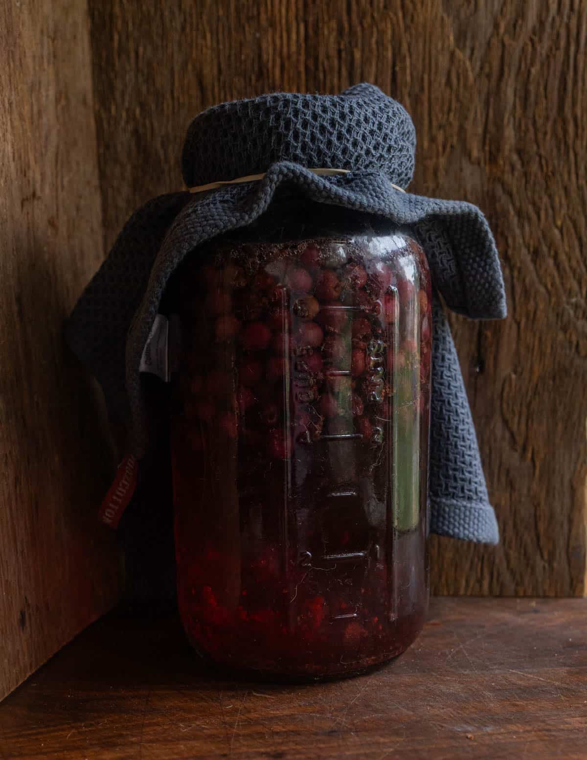A jar of serviceberry vinegar fermenting.