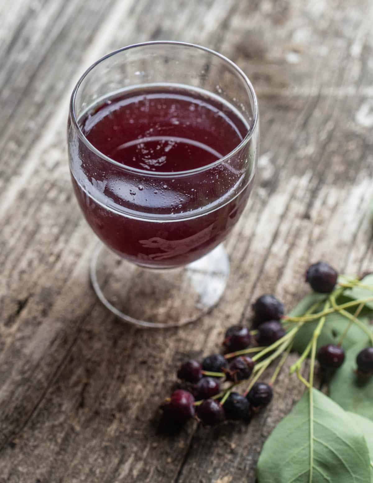 A glass of serviceberry or juneberry liquor next to a serviceberry branch with ripe fruit attached.