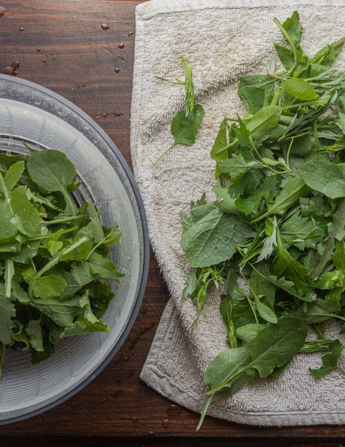Fresh salad greens being spun in a salad spinner and laid out to dry on a towel.